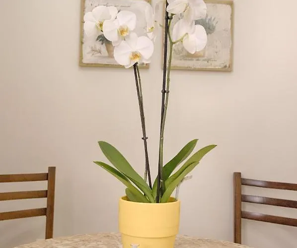 A Casa Di Teresa Bed & Breakfast 3*